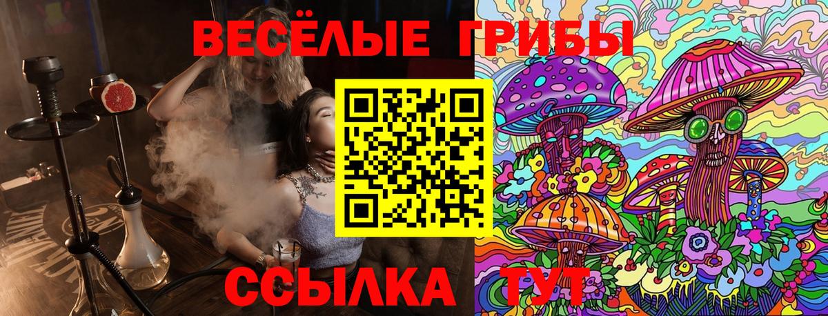 Псилоцибиновые грибы Psilocybine cubensis Бор