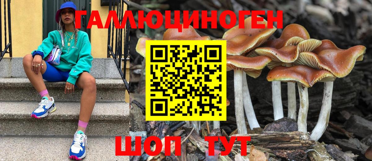 Галлюциногенные грибы GOLDEN TEACHER  Псилоцибиновые грибы прущие грибы  Вход с VPN  Бор 